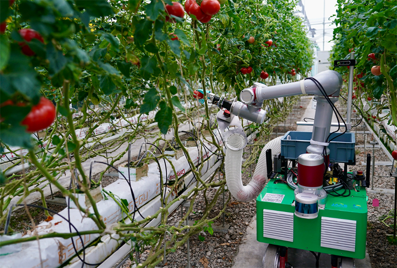 恒溫恒濕可應用于農(nóng)業(yè)生產(chǎn)設備的試驗測試